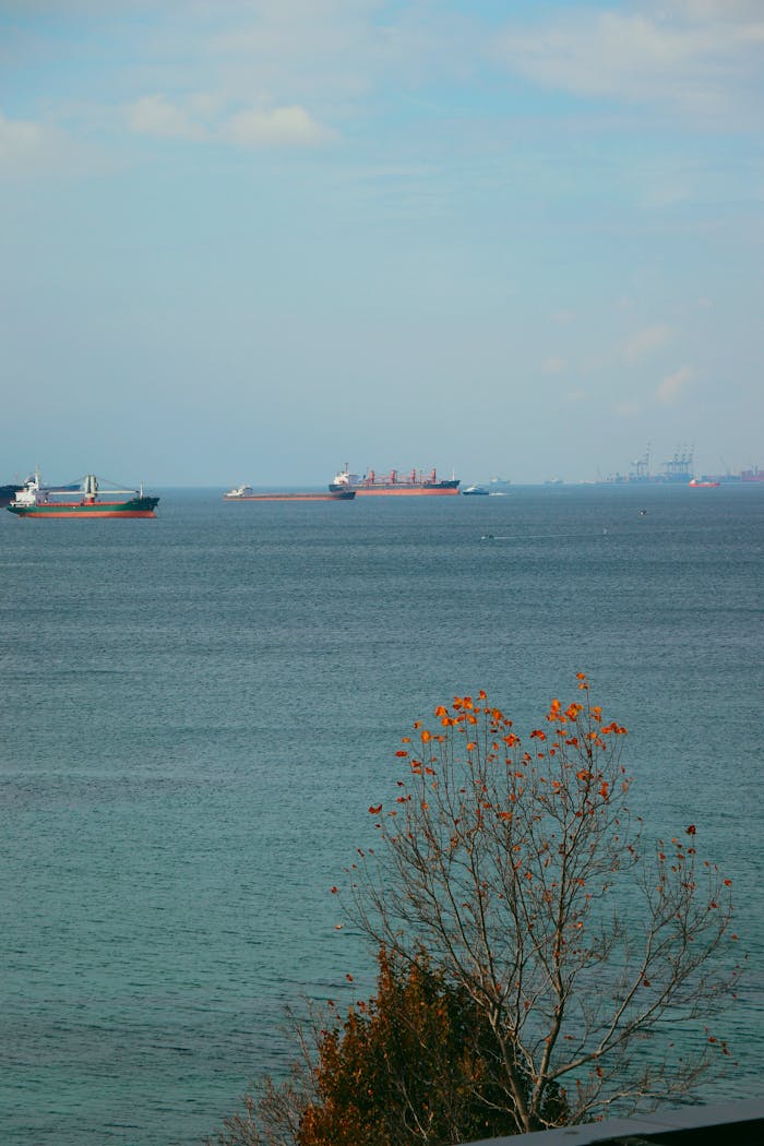 Calm sea view with cargo ships on the horizon and a tree in the foreground.
